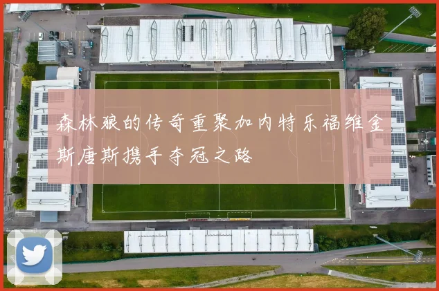 森林狼的传奇重聚加内特乐福维金斯唐斯携手夺冠之路