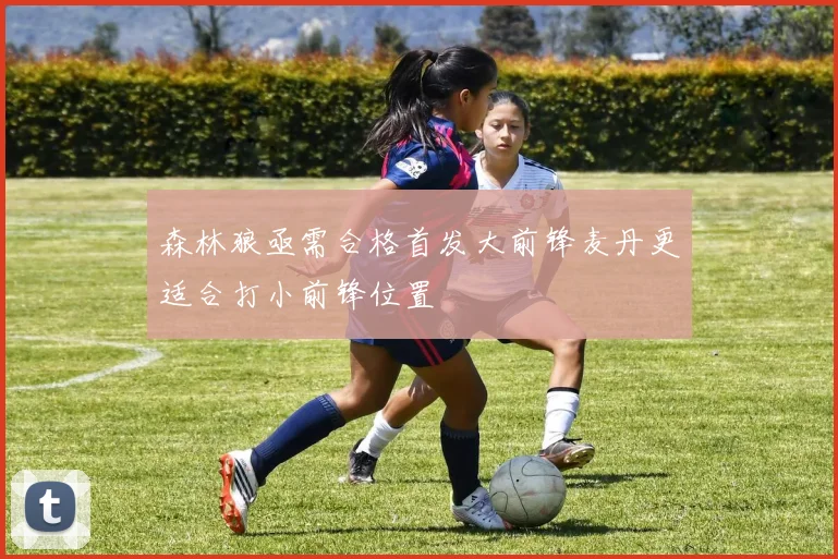 森林狼亟需合格首发大前锋麦丹更适合打小前锋位置
