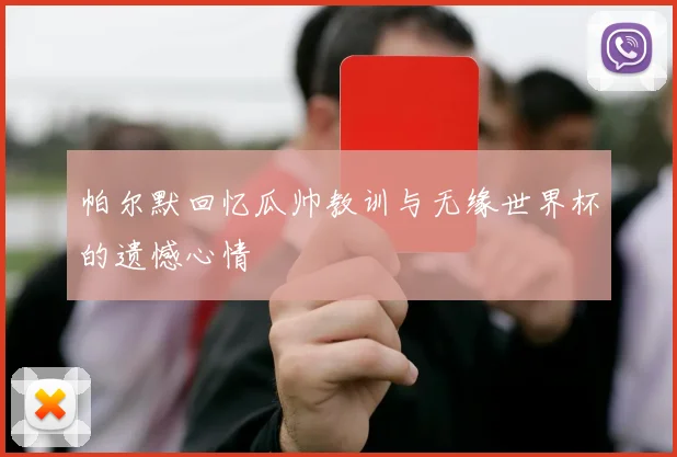 帕尔默回忆瓜帅教训与无缘世界杯的遗憾心情